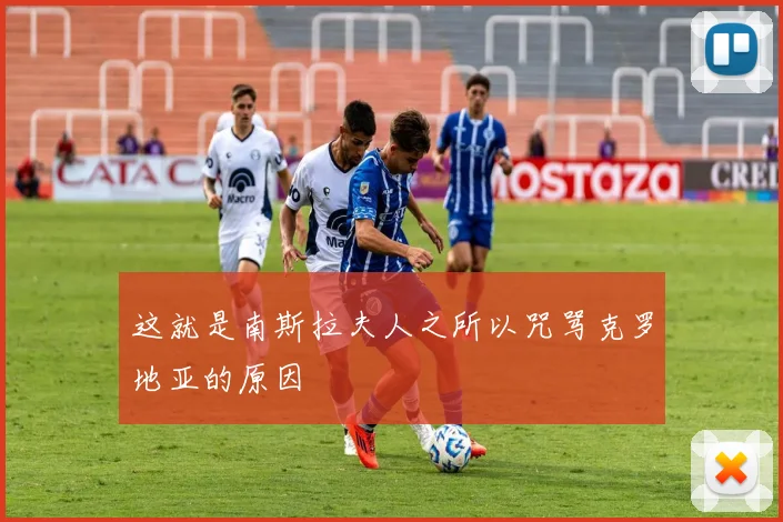这就是南斯拉夫人之所以咒骂克罗地亚的原因