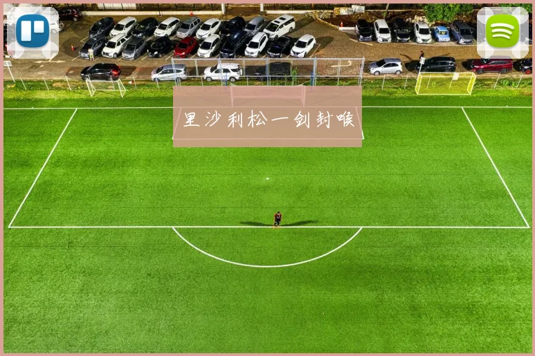 里沙利松一剑封喉