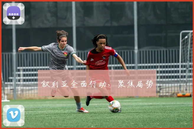 叙利亚全面行动，聚焦局势