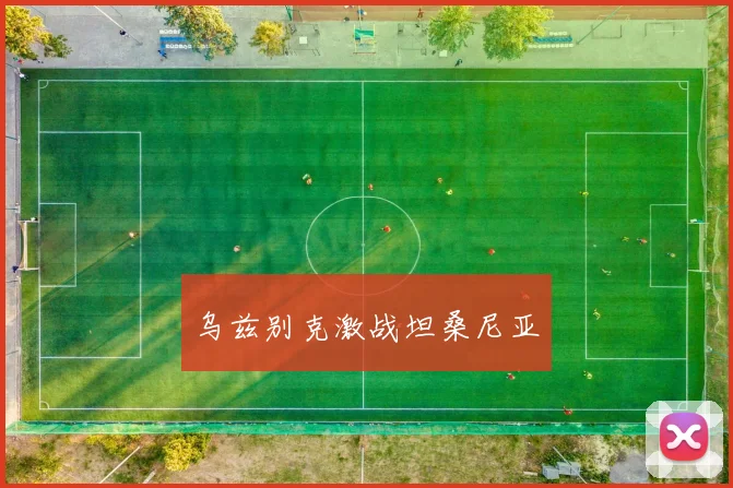 乌兹别克激战坦桑尼亚
