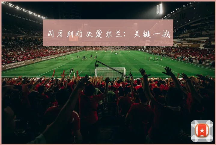 匈牙利对决爱尔兰:关键一战