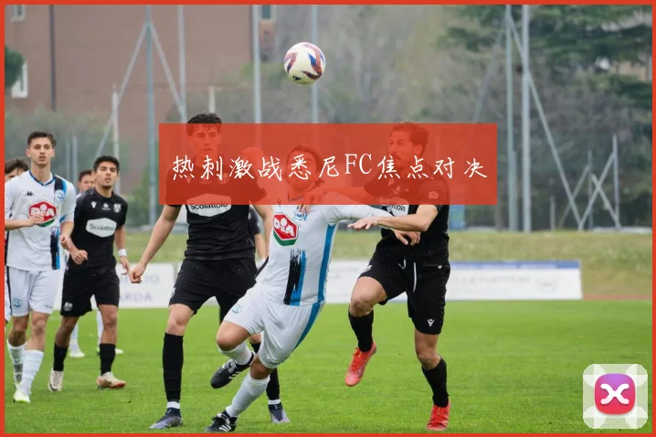 热刺激战悉尼FC焦点对决