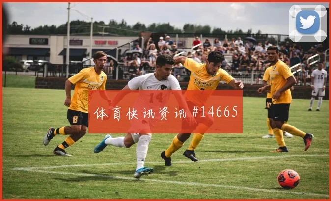 塞内加尔几内亚会师决赛