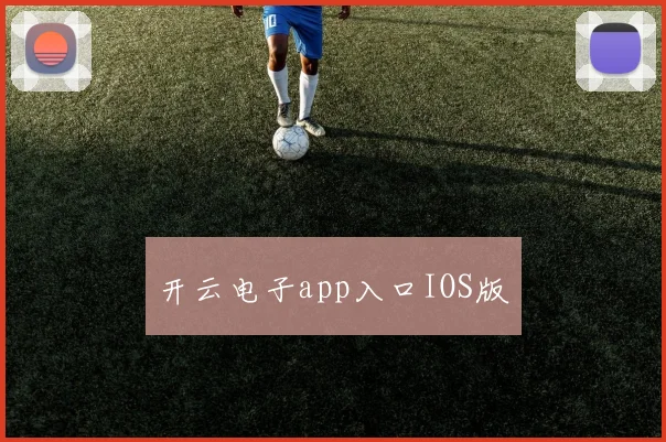 开云电子app入口IOS版