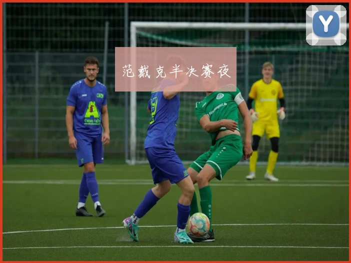 范戴克半决赛夜