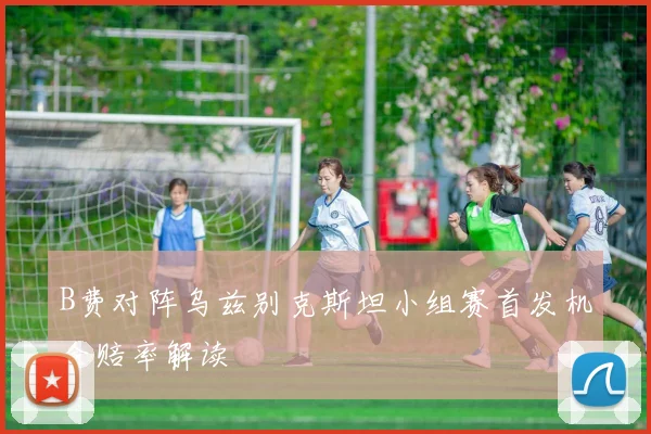 B费对阵乌兹别克斯坦小组赛首发机会赔率解读