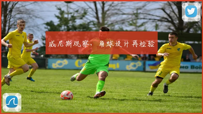 威尼斯观察，角球设计再检验
