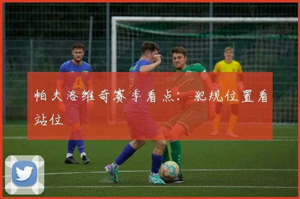 帕夫洛维奇赛季看点：犯规位置看站位